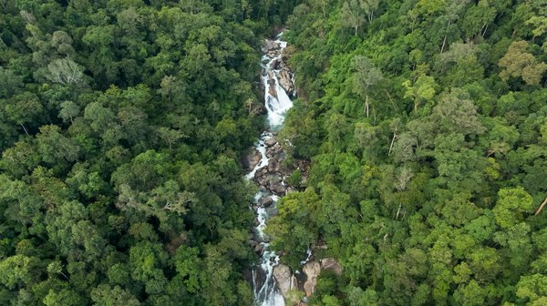 Les principaux studios de jeu vidéo en France