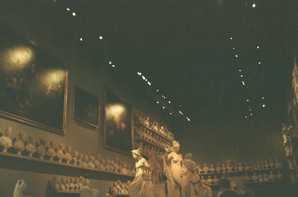 Panneau solaire photovoltaïque : un atout pour votre confort énergétique